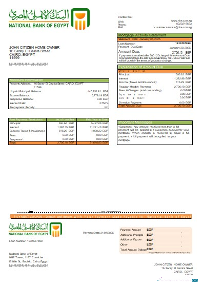 Download Egypt National Bank of Egypt bank mortgage statement scr Photoshop template